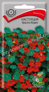 настур крас индии