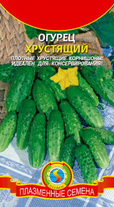 ogurec-hrustyashchiy