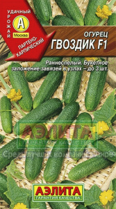гвоздик аэлита