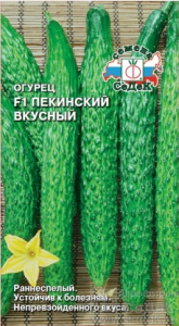 ogurets_pekinskiy_vkusnyy_f1