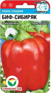 биф сиб