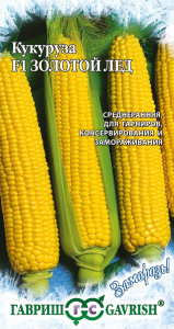 кукур золотой лед