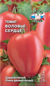 tomat_volove_serdtse