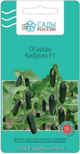 кибрия