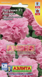 ангора аэлита