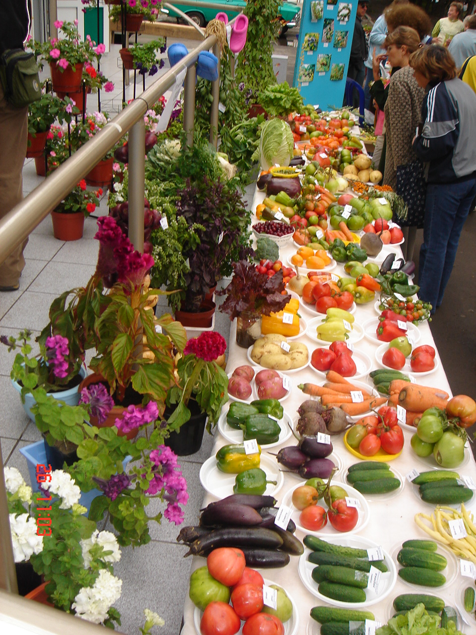 Выставка овощей