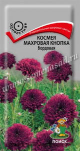 9f2d447798b1a24e3b3d0ef5d153c0db