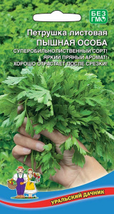 petrushka-listovaya-pyshnaya-osoba