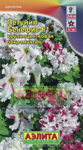 бенефис аэлита