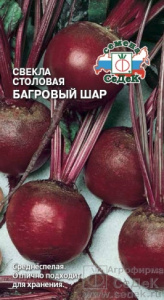 svekla_bagrovyy_shar