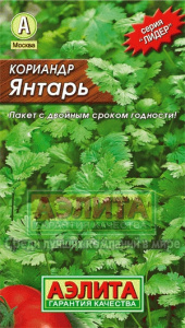 кориандр Янтарь