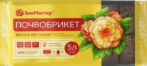 брикет бегония