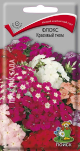 флокс красив гном поиск