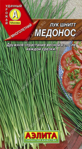 лук медонос аэлита