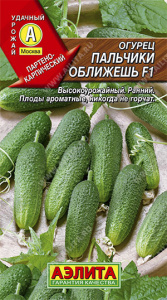 575864