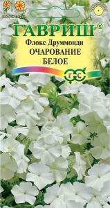 Флокс Друммонда Очарование Белое ,гавриш