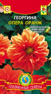 georgina-opera-oranzh-229x416