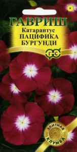 пацифик