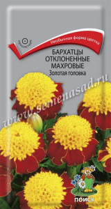бархатцы золот головка