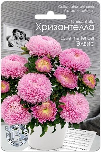 элвис