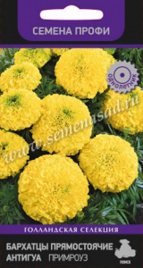 09fc36c704d8ee04785affe0679f7b73
