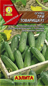 463ac09502c3a216db2b74b35a63dfe0