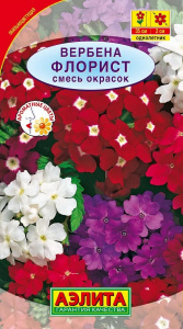вербена флорист аэлита