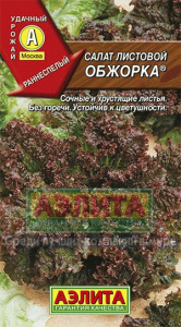 салат обжорка аэлит