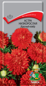 астра низ красный ковер поиск