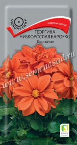 бар ор поиск