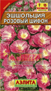 цв эш роз