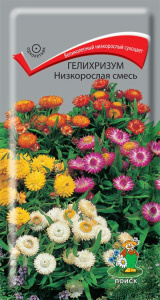 гелихризум низкор смесь поиск