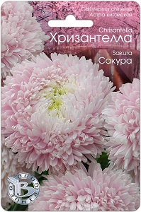 сакура
