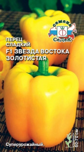 00000012429