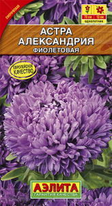 ac61e7dbee0587030bcda55363417c02