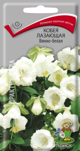 цв ко б
