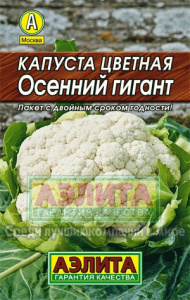 кап л ос гиг