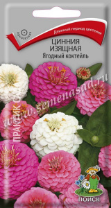 цинния яг ко