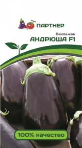 андрюша