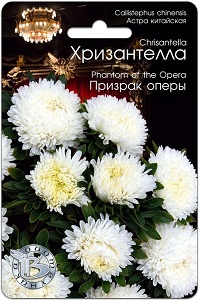 опера