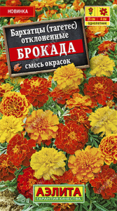 брокада