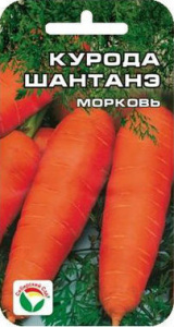 курода шантане сибсад