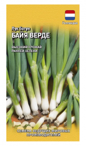 Снимок экрана (5)