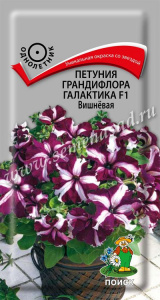 02bcc5ae11b4b821b35ac2464d810180