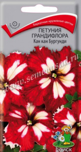кан поиск