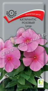 султан