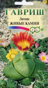 10003870_mini4