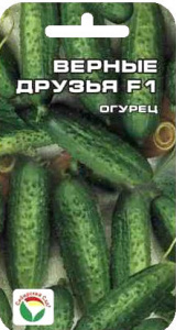 ogurets_vernyie_druzya_f1_sibirskiy_sad