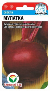 мулатка