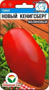 нов кениг